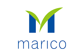 Micro Logo